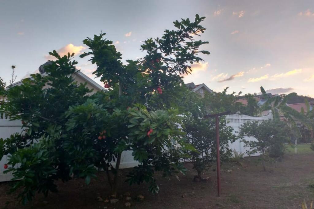 Comfortable Strategic Lodging Quarters Spanish Town المظهر الخارجي الصورة